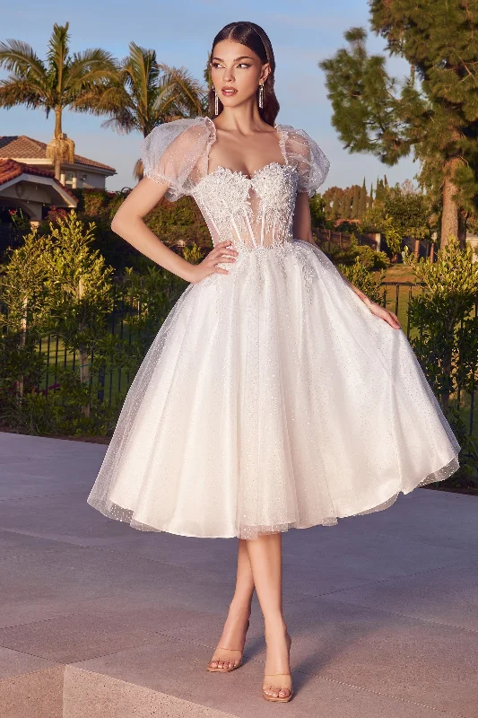 **Cinderella Divine: Enchanting Vintage Elegance for Every Occasion** Mermaid Style Gown